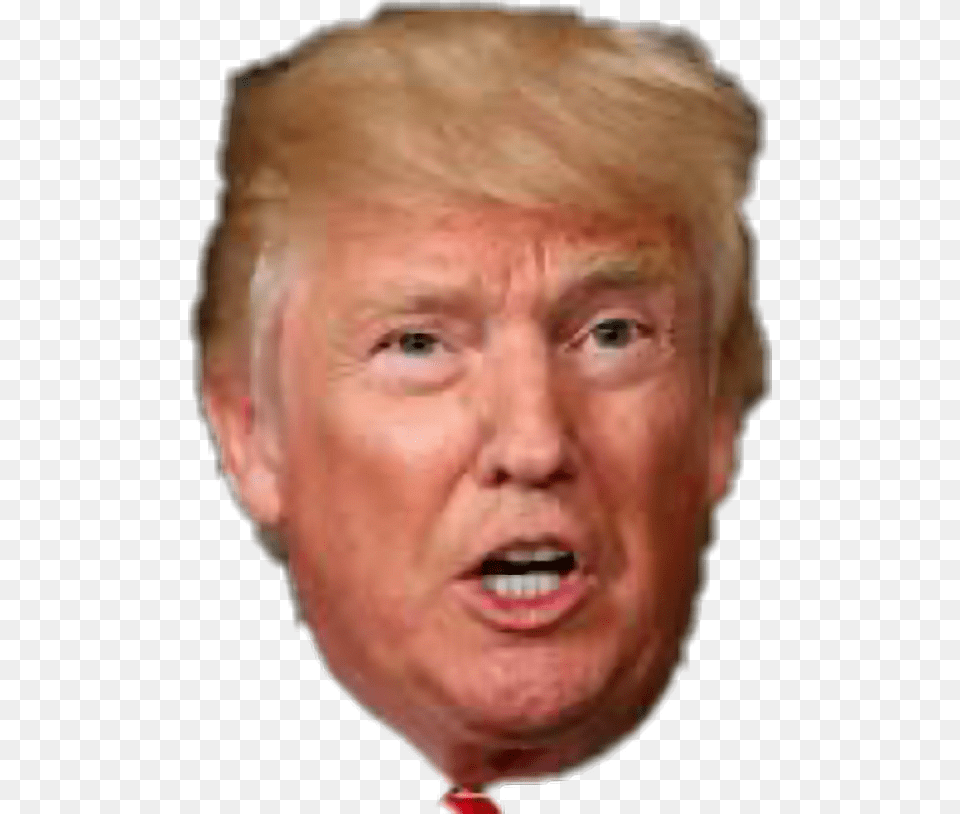 Donaldtrump Human, Face, Head, Person, Photography Png Image