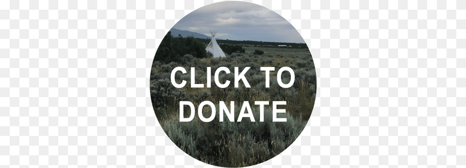 Donate Button Tupac See Illuminati, Plant, Vegetation, Outdoors, Grass Free Transparent Png