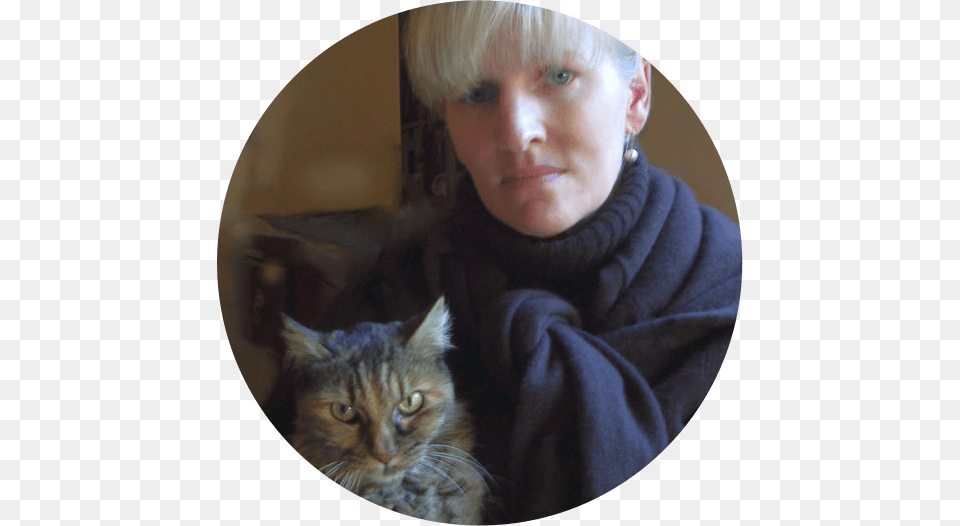 Donate Cat, Photography, Head, Person, Portrait Free Png Download