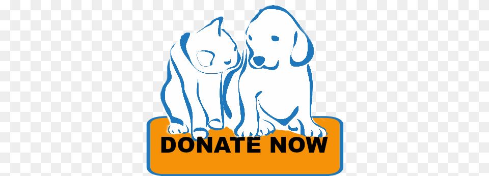 Donate Donation, Animal, Sticker, Mammal, Bear Free Transparent Png