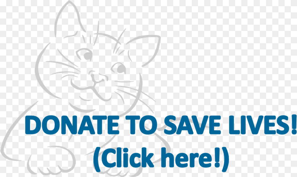 Donate Logo Blank Sketchbook For Cat People, Baby, Person, Animal, Mammal Png Image
