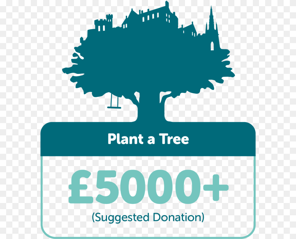 Donate Towards A New Tree Standard To Be Planted In Tree Time, Vehicle, Transportation, License Plate, Symbol Png Image