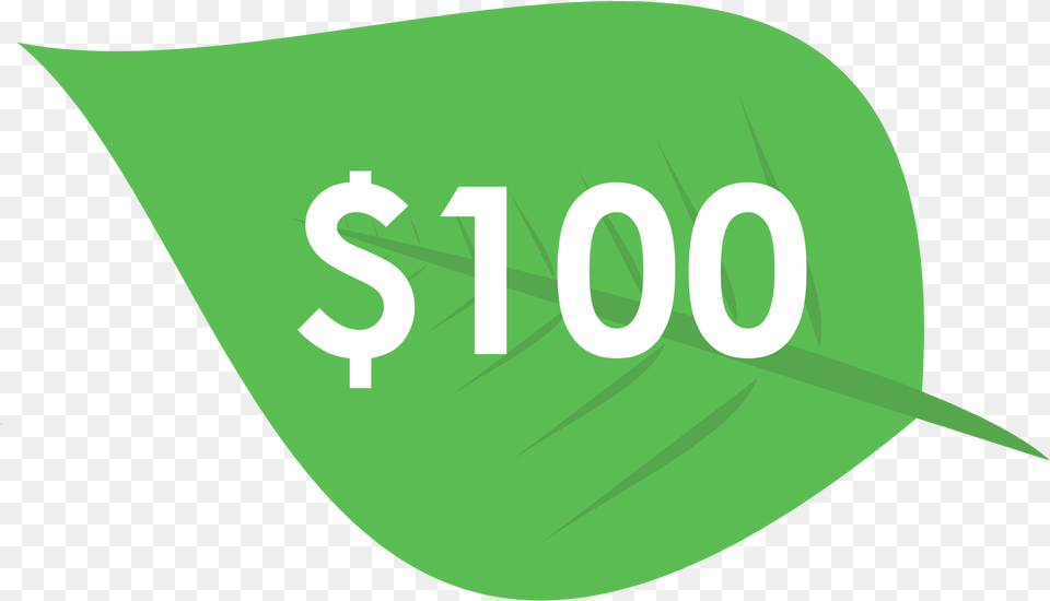 Donation 100 Money, Leaf, Plant, Text, Symbol Png