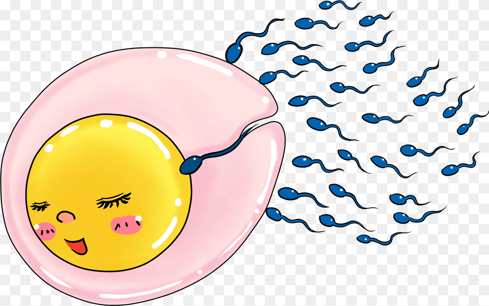 Donation Cartoon On Egg And Sperm, Balloon, Plate Free Transparent Png