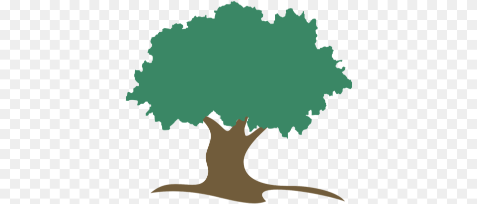 Donation Oak, Plant, Tree, Outdoors, Art Png