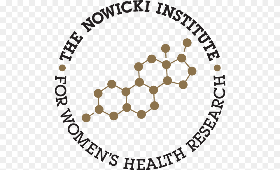Donation To Nowicki Institute For Women39s Health, Accessories, Jewelry, Necklace Free Transparent Png