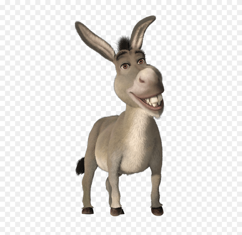 Donkey, Animal, Mammal, Antelope, Wildlife Free Transparent Png