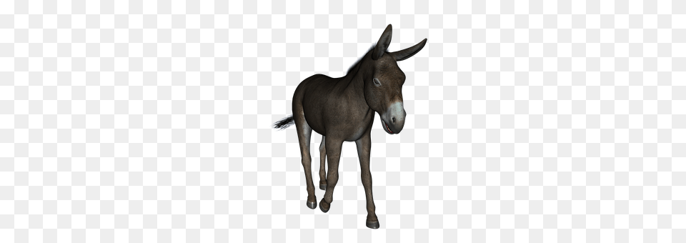 Donkey Animal, Mammal, Horse Free Png Download