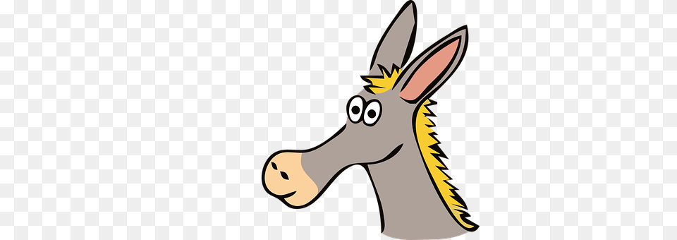 Donkey Animal, Mammal, Wildlife Png