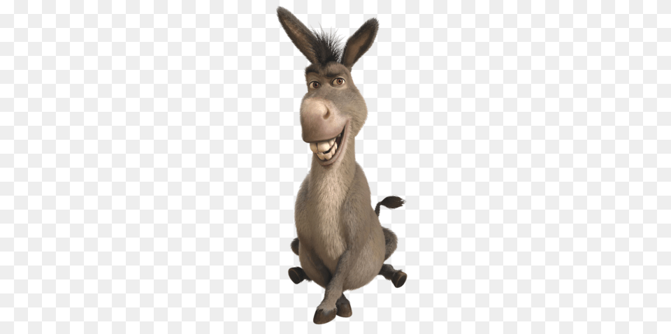 Donkey, Animal, Mammal, Kangaroo Png Image