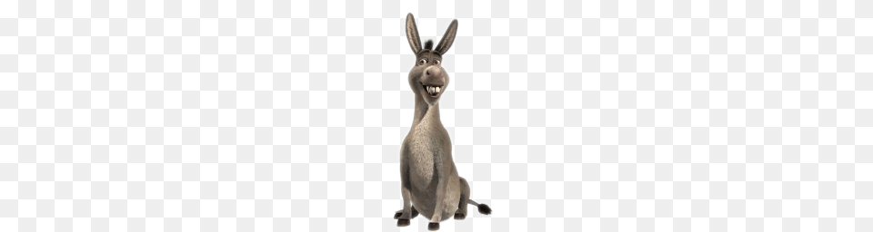 Donkey, Animal, Kangaroo, Mammal Png Image