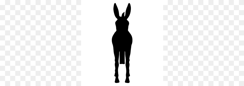 Donkey Silhouette, Animal, Kangaroo, Mammal Free Png Download