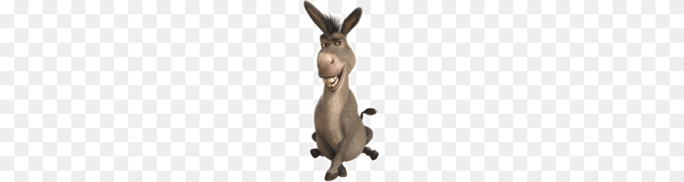 Donkey, Animal, Kangaroo, Mammal Free Png Download