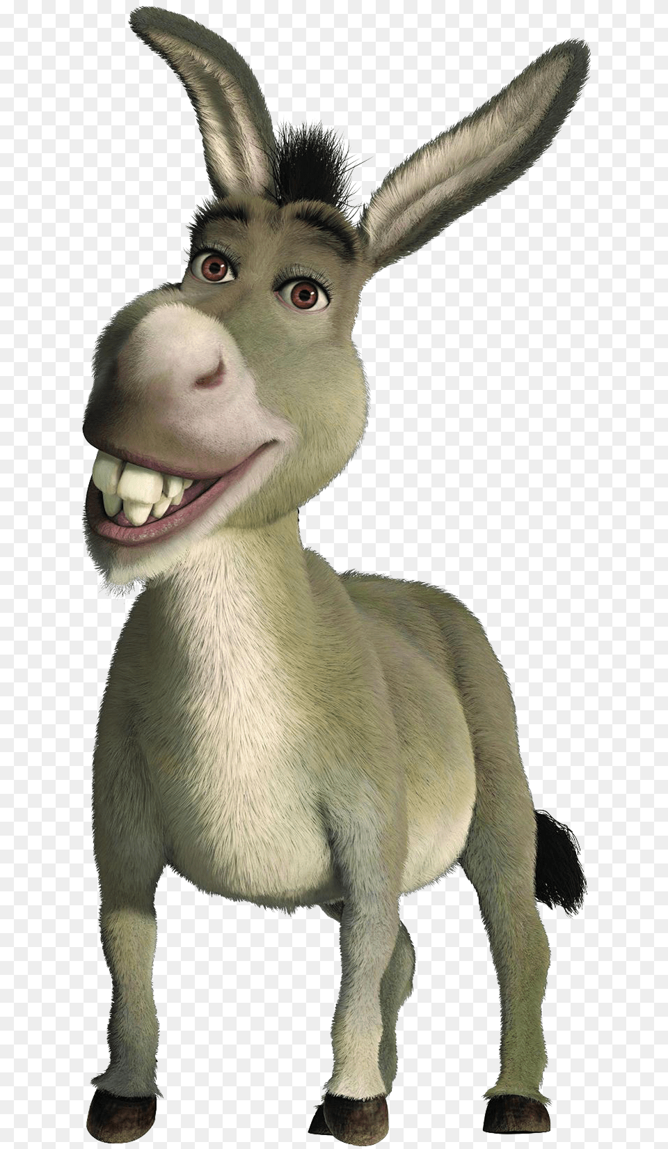 Donkey, Animal, Mammal, Canine, Dog Png Image