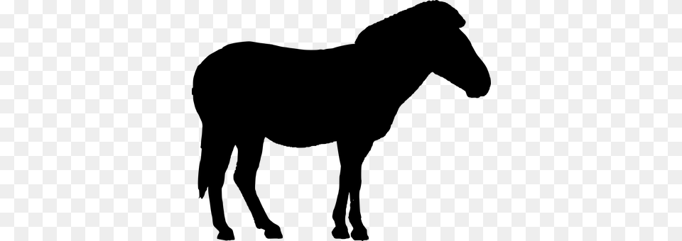 Donkey Gray Png Image