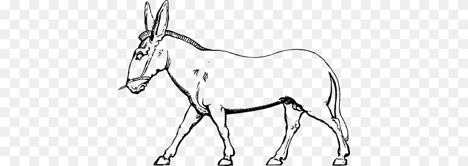 Donkey Gray Free Png Download