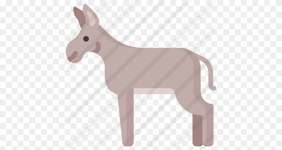Donkey, Animal, Mammal, Kangaroo Free Png Download