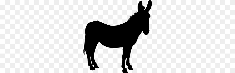 Donkey, Gray Free Png Download