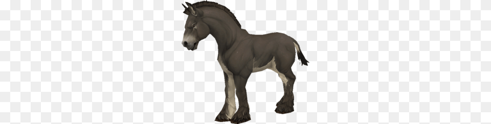 Donkey, Animal, Colt Horse, Horse, Mammal Png