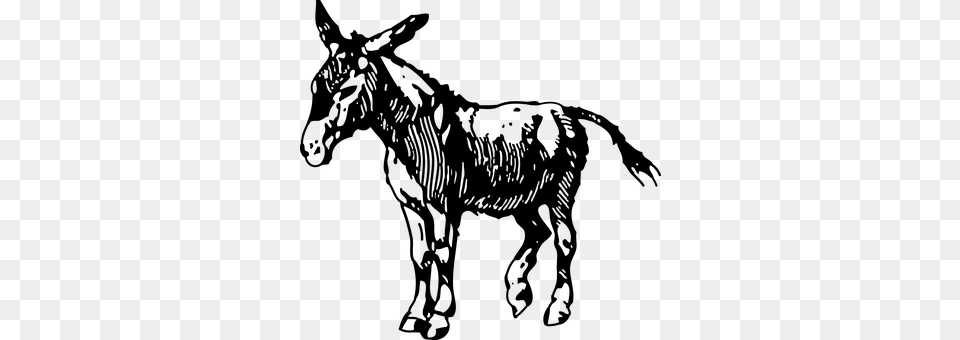 Donkey Gray Png