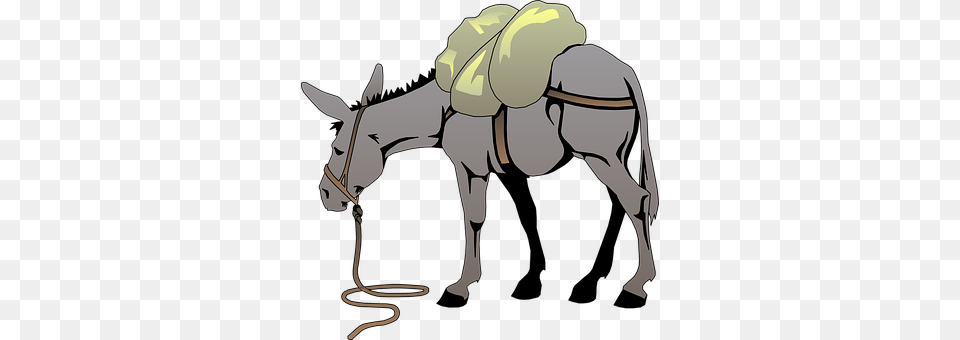 Donkey Person, Animal, Mammal, Head Free Png