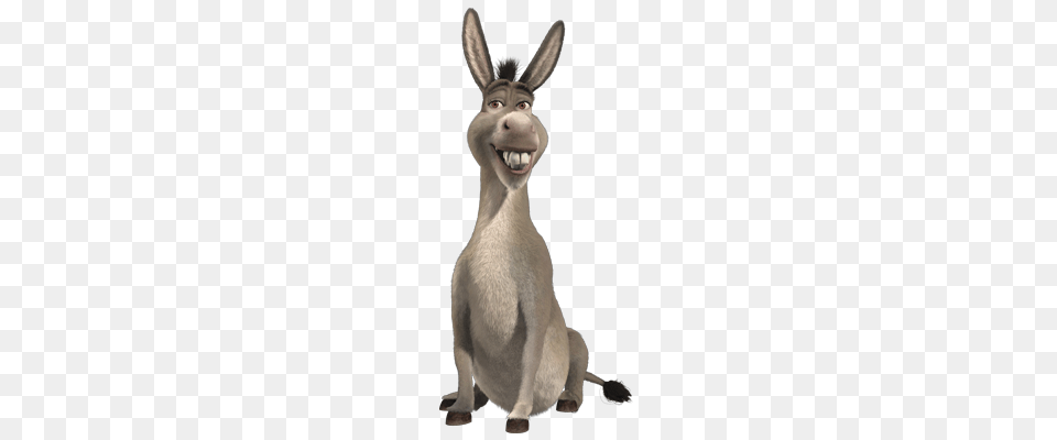 Donkey, Animal, Kangaroo, Mammal Png