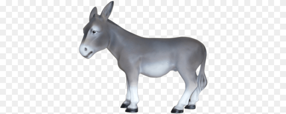 Donkey Burro, Animal, Mammal, Horse Free Png Download