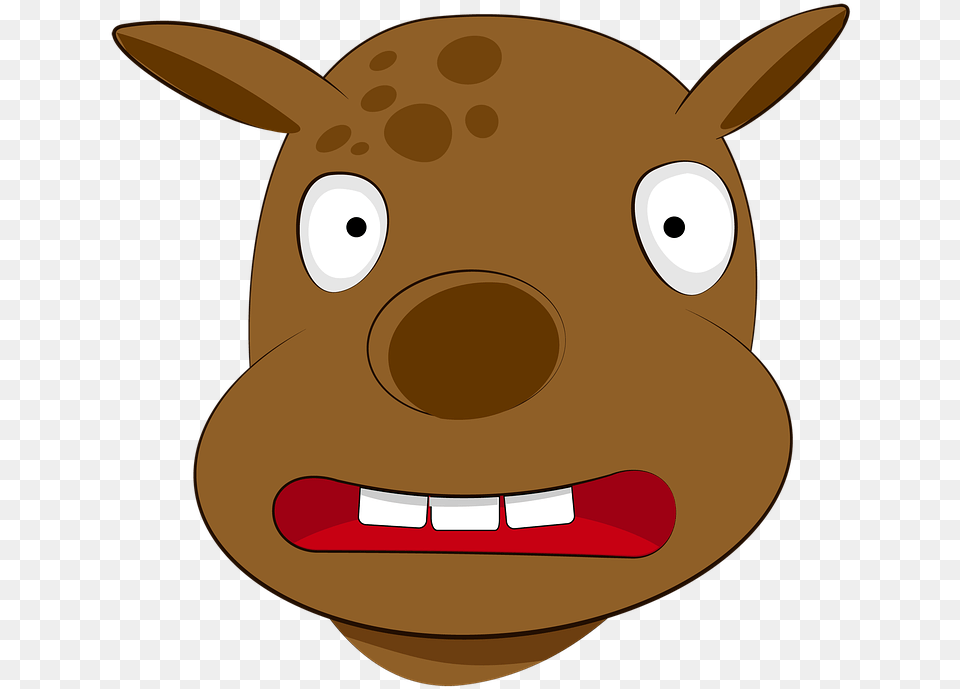 Donkey Cartoon, Snout, Animal, Fish, Sea Life Free Png