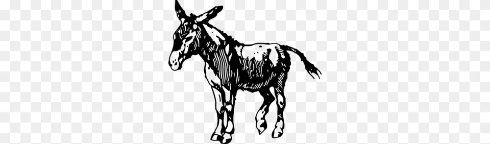 Donkey Clip Art, Gray Free Png