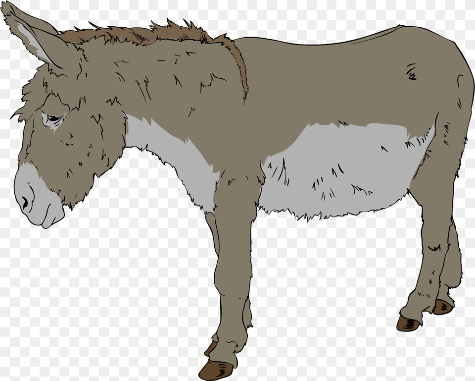 Donkey Clipart, Animal, Mammal, Adult, Male Free Transparent Png