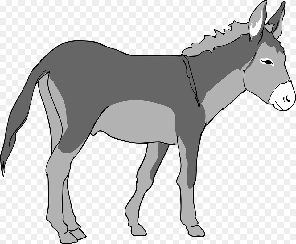 Donkey Clipart, Animal, Mammal, Face, Head Png Image