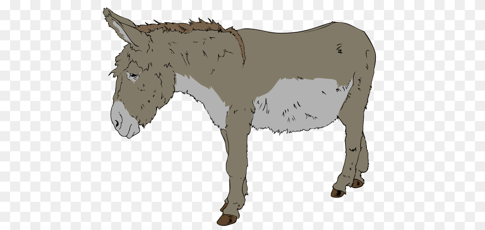 Donkey Clipart, Animal, Mammal, Person Png Image