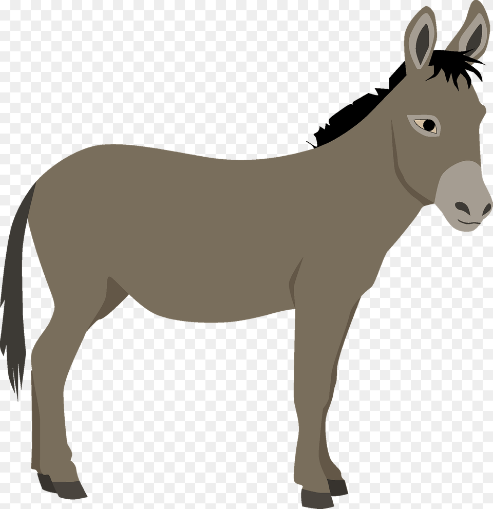 Donkey Clipart, Animal, Mammal, Person Free Png Download