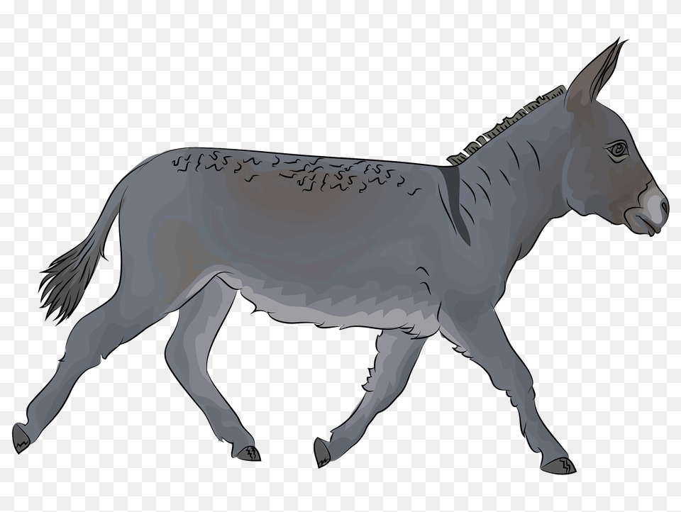 Donkey Clipart, Animal, Mammal, Horse Free Png Download