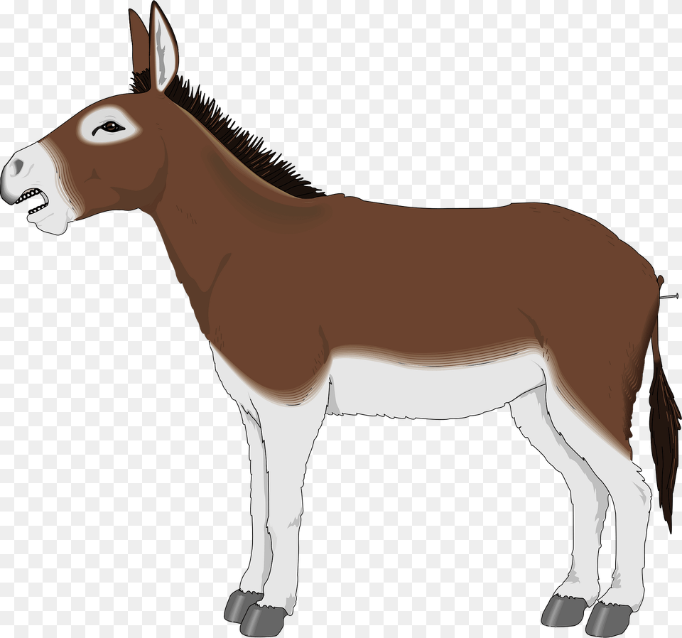 Donkey Clipart, Animal, Mammal, Wildlife, Zebra Free Png Download