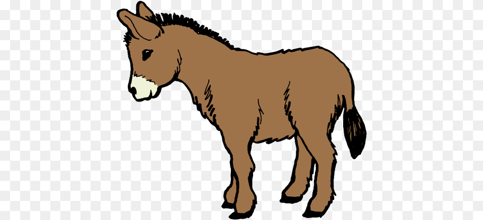 Donkey Clipart, Animal, Mammal, Adult, Person Png Image