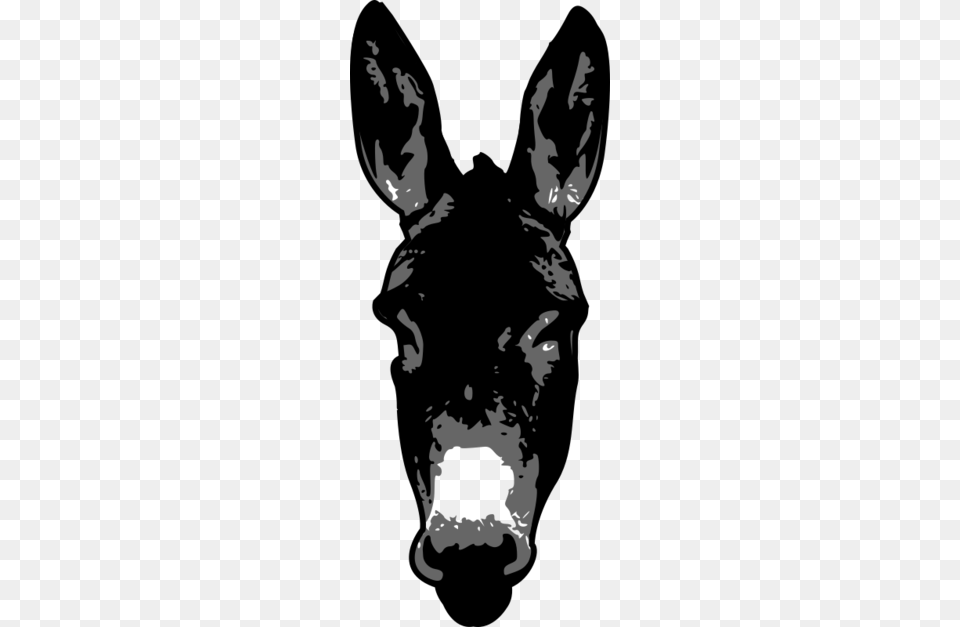 Donkey Clipart, Stencil, Baby, Person, Animal Free Png