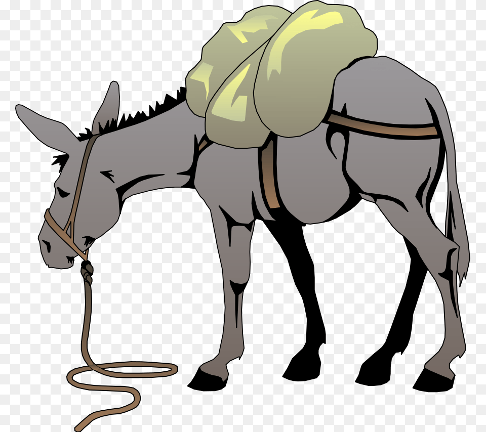 Donkey Clipart, Person, Animal, Mammal Free Png Download