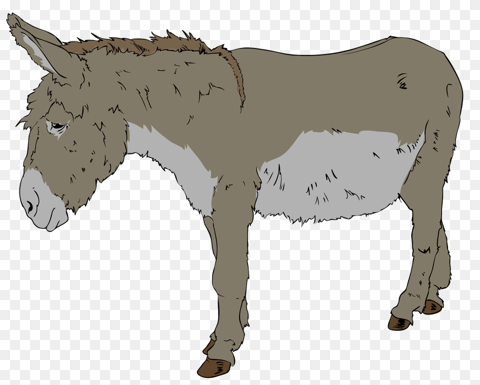 Donkey Clipart, Animal, Mammal, Person Png Image