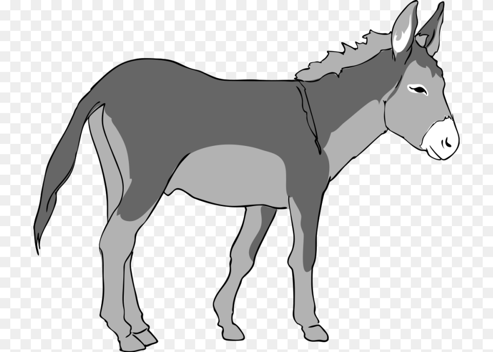 Donkey Clipart, Animal, Mammal, Adult, Man Png Image