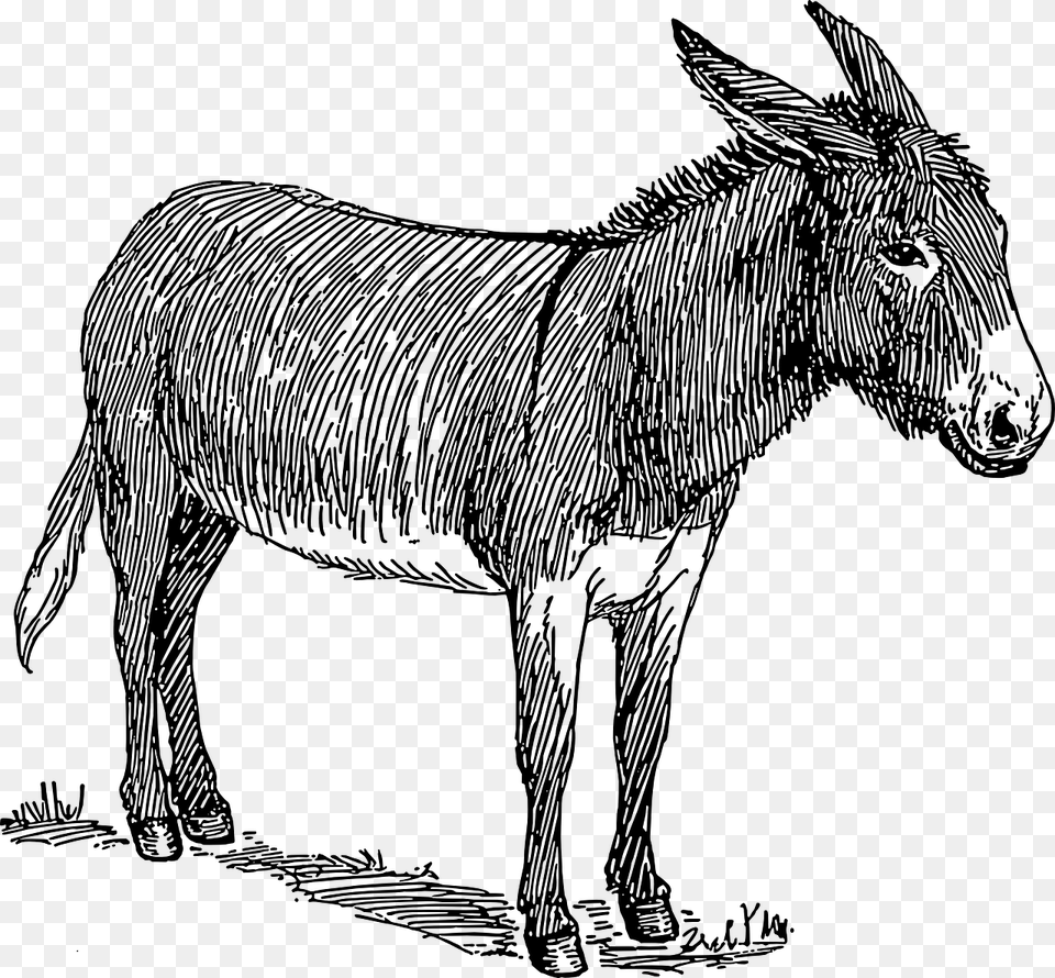 Donkey Clipart Black And White, Gray Free Transparent Png