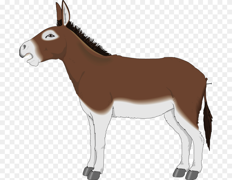 Donkey Clipart Farm Animal, Mammal, Horse Free Png