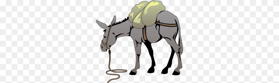 Donkey Clipart Loaded, Person, Animal, Mammal, Head Free Png