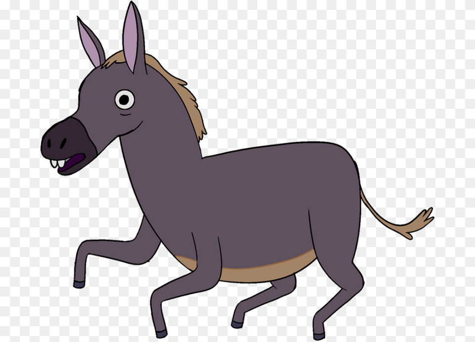 Donkey Donkey, Animal, Mammal Free Png