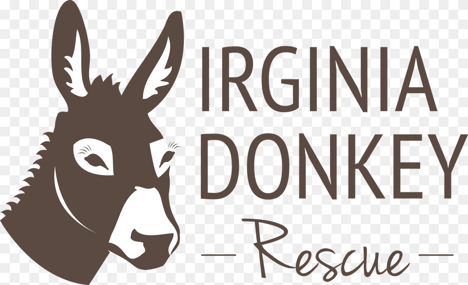 Donkey For Sale In Virginia Beach Download Burro, Animal, Mammal Png