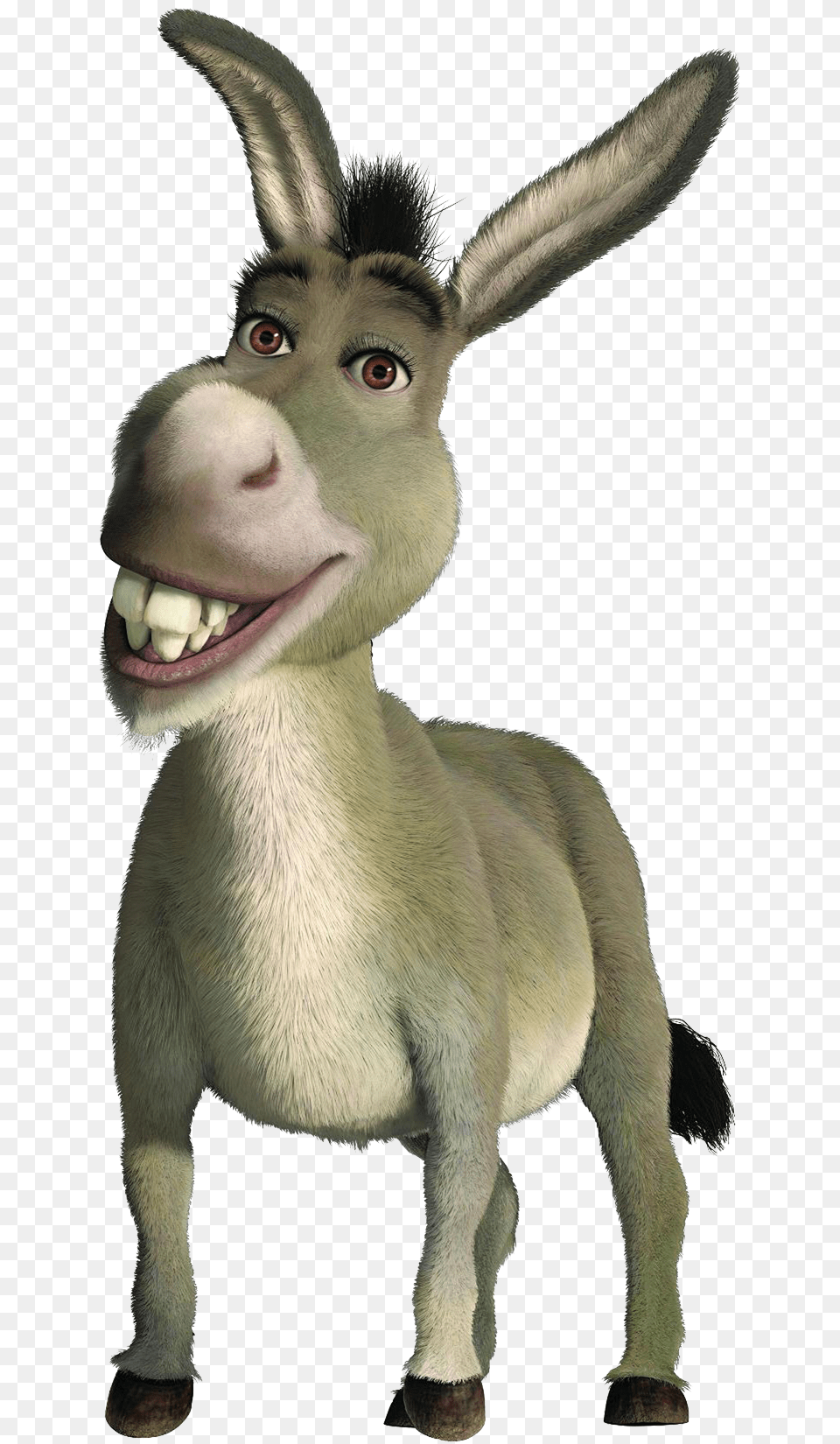 Donkey From Shrek, Animal, Mammal, Monkey, Wildlife Png