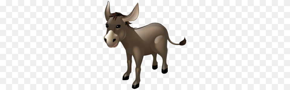 Donkey Hd Transparent Donkey Hd Images, Animal, Mammal, Kangaroo Png