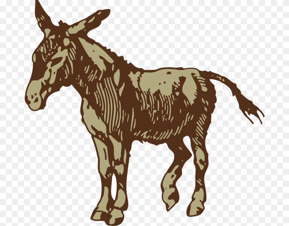 Donkey Horse Drawing Mule Clip Art, Animal, Mammal, Wildlife, Zebra Free Png