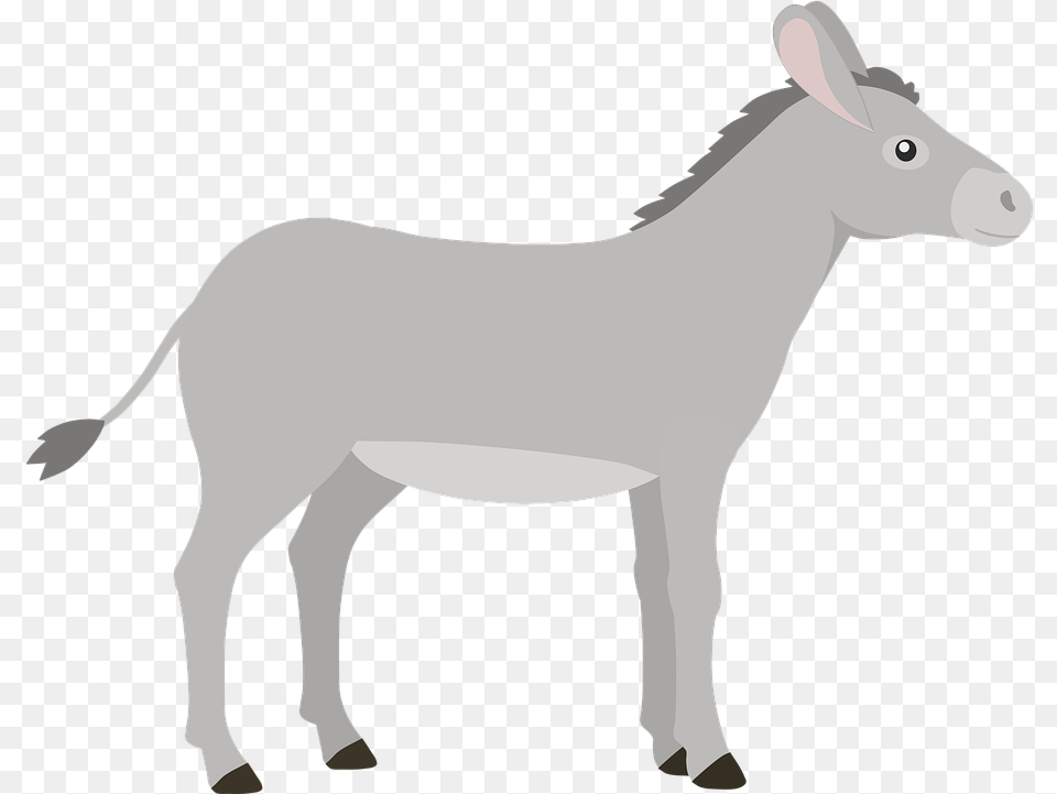 Donkey Mammal Animal Vector Graphic On Pixabay Burro Png