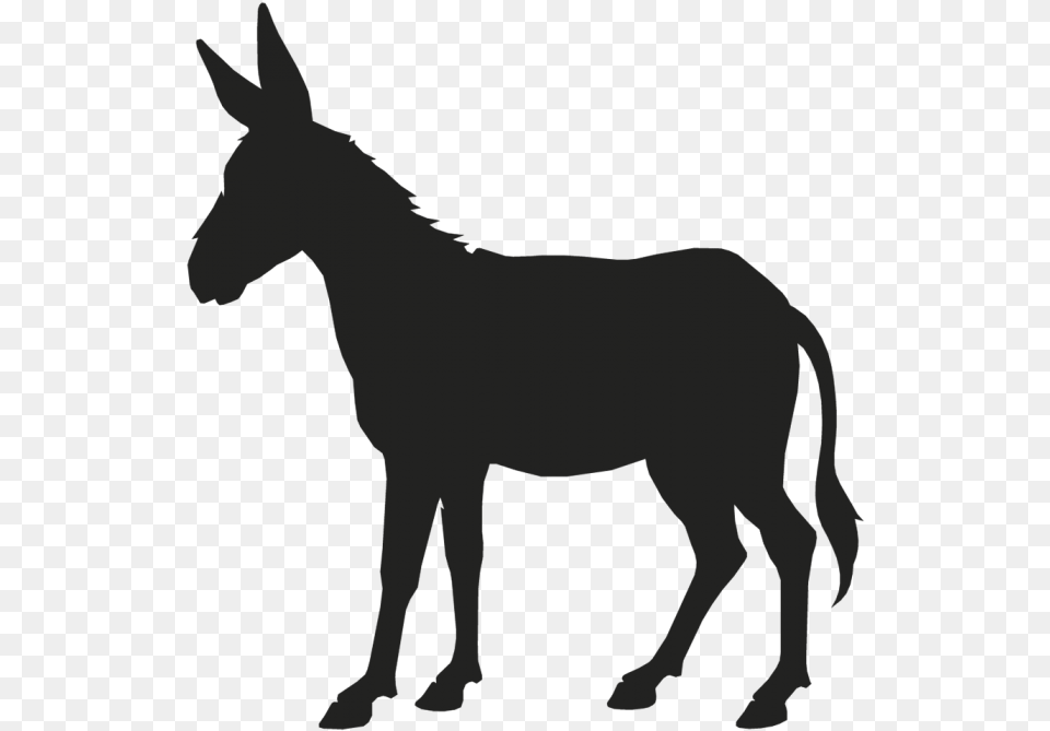 Donkey Mule Vector Graphics Clip Art Portable Network Donkey Head Silhouette, Animal, Mammal, Person Free Png Download